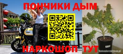 трава Кунгур