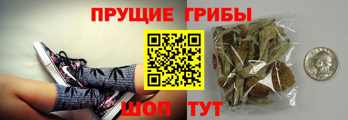 дарнет шоп  Псилоцибиновые грибы мицелий  Вход с VPN  Тайшет  Галлюциногенные грибы ЛСД 